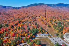 Tollhouse 10B Stowe